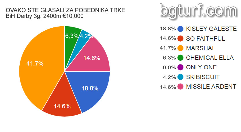 bgturf glasanje