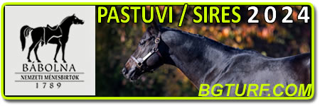 bgturf rhett butler galileo kk ivanoivć pastuv