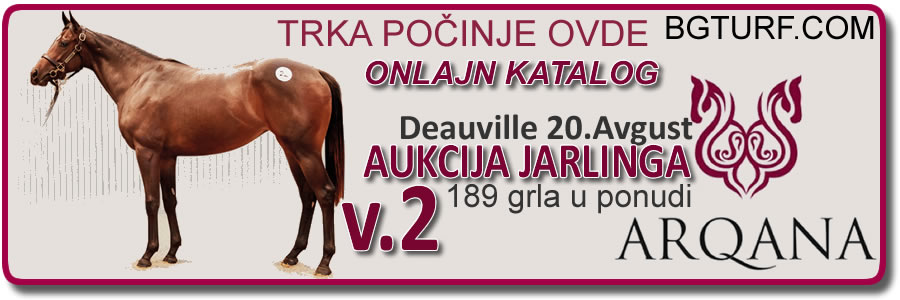 bgturf babolna pastuv pastuvi stallions stallion sire stud