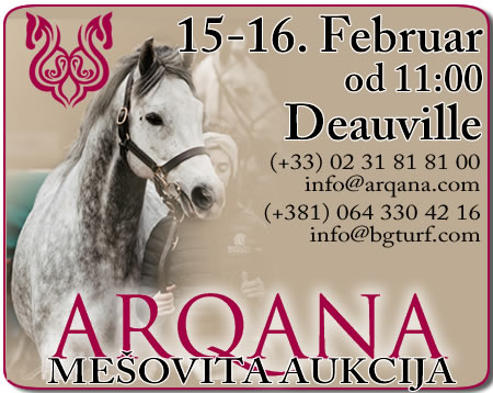 bgturf arqana