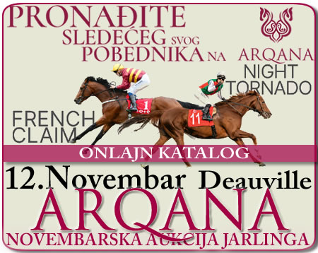 bgturf arqana