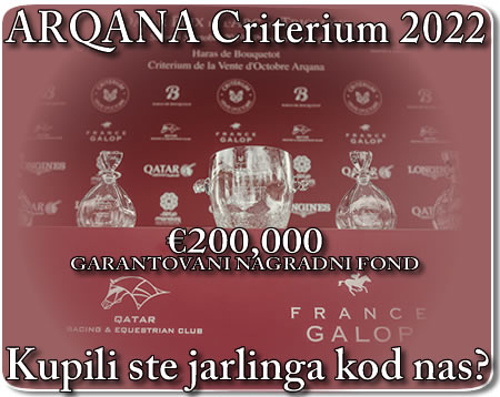 bgturf arqana criterium