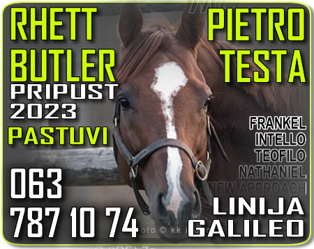 bgturf rhett butler pietro testa galileo