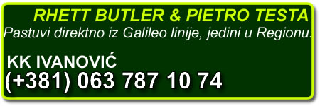 bgturf rhett butler galileo kk ivanoivć pastuv